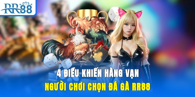 4 điều khiến hàng vạn người chơi chọn đá gà RR88