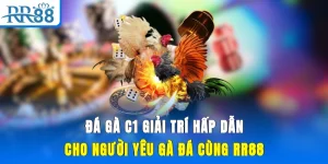 Đá Gà C1