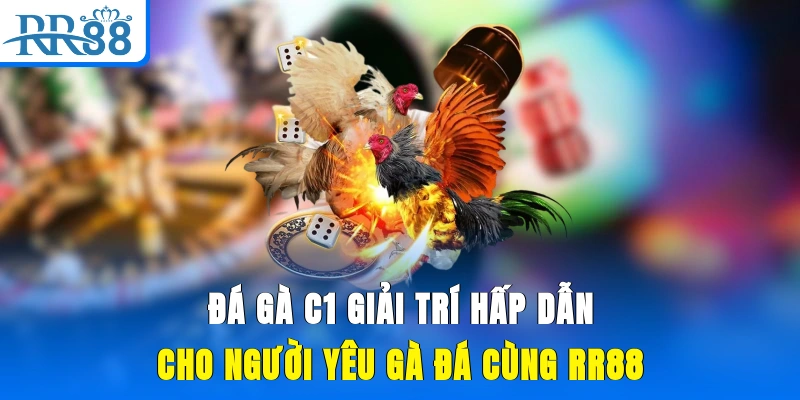 Đá Gà C1