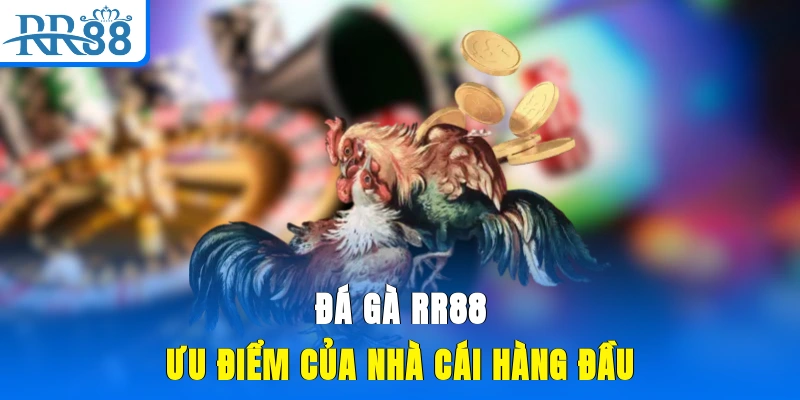 Đá gà RR88 ưu điểm của nhà cái hàng đầu